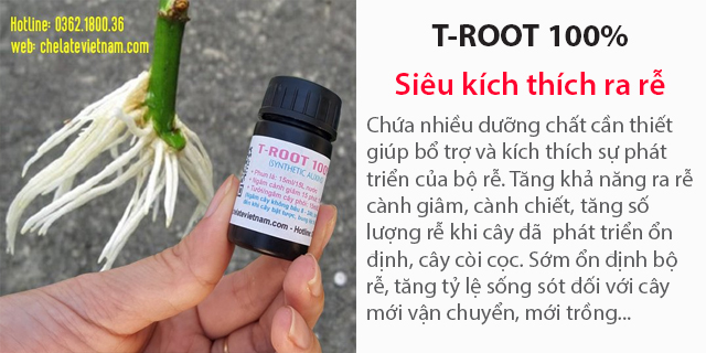 Bán T-ROOT 100% (V01) (Kích rễ cành giâm, trồng lại Hoa hồng, hoa đào, hoa mai, quất cảnh, cây cảnh...).